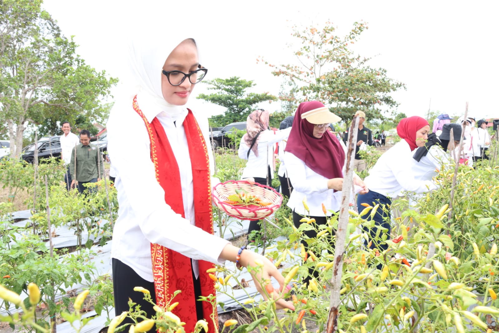 Ketua TP PKK Prov. Kalteng Ivo Sugianto Sabran Hadiri Kegiatan Gerakan Penanaman 1.000 Pohon