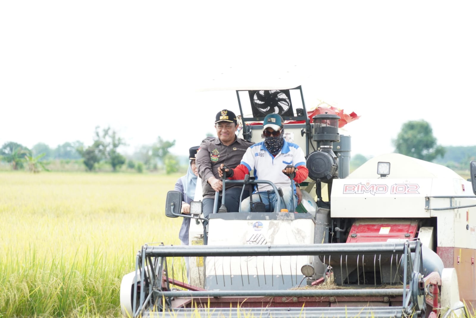 Wagub Kalteng Edy Pratowo Panen Raya Padi di Kawasan Food Estate