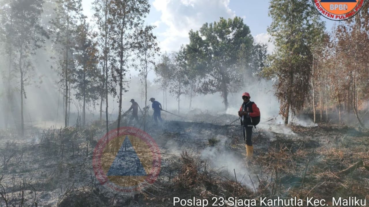 BPBPK Prov. Kalteng  Sampaikan Perkembangan Kejadian Karhutla