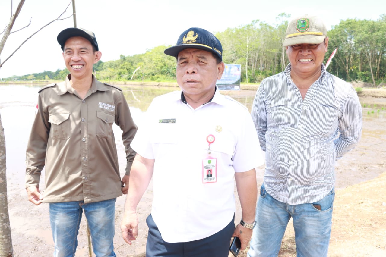 Kementerian Pertanian RI Bersama Jajaran Pemprov Kalteng, Pemkab Pulpis, serta Para Petani Lakukan Tanam Perdana Padi Optimalisasi Lahan Rawa