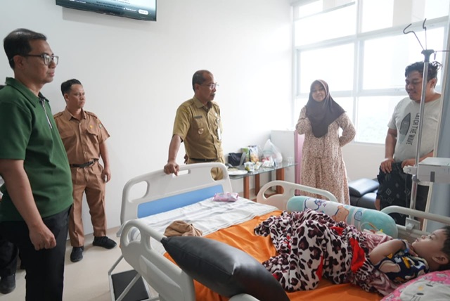 RSUD Hanau Resmi Mulai Beroperasi