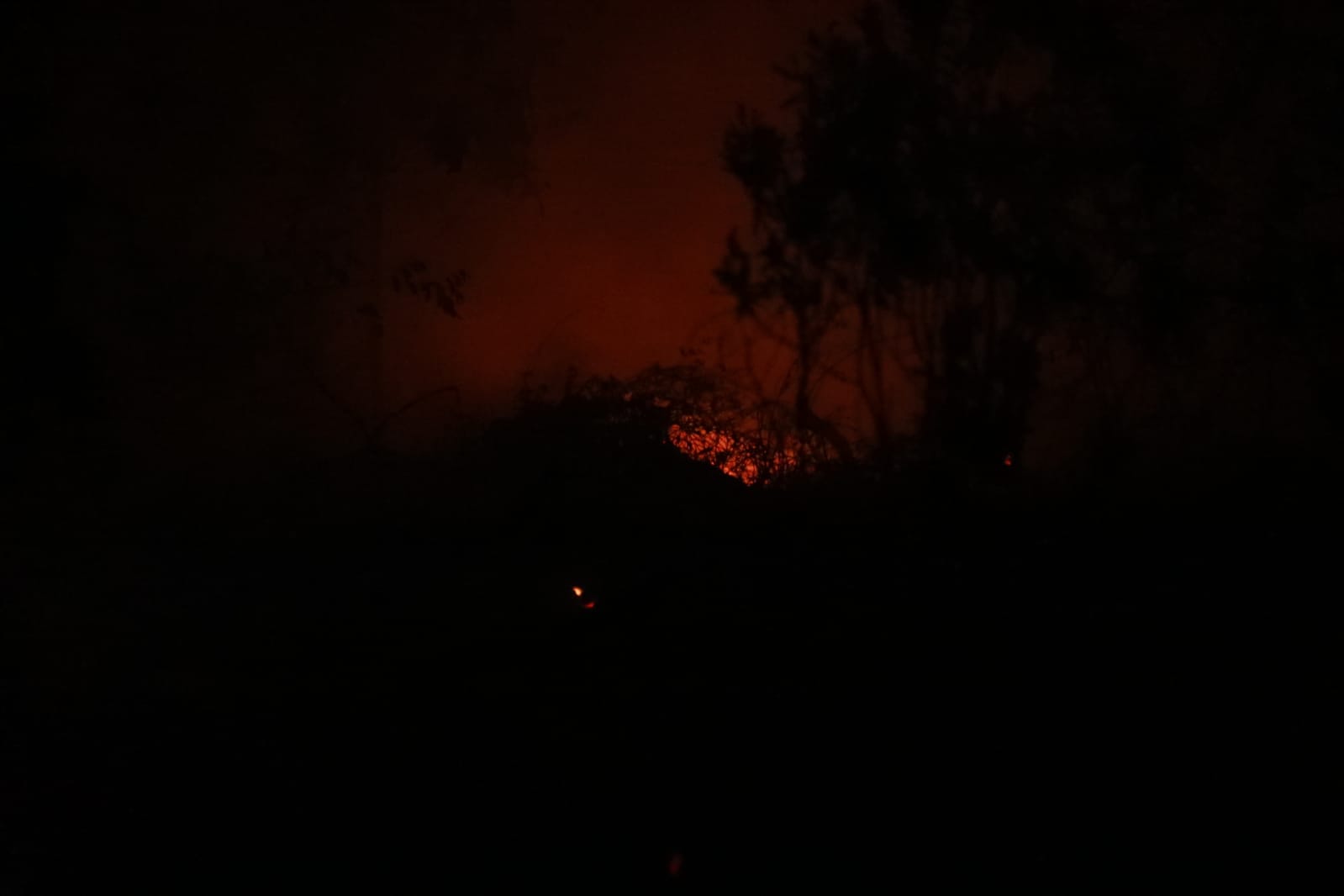 Gubernur Sugianto Sabran Tinjau Karhutla