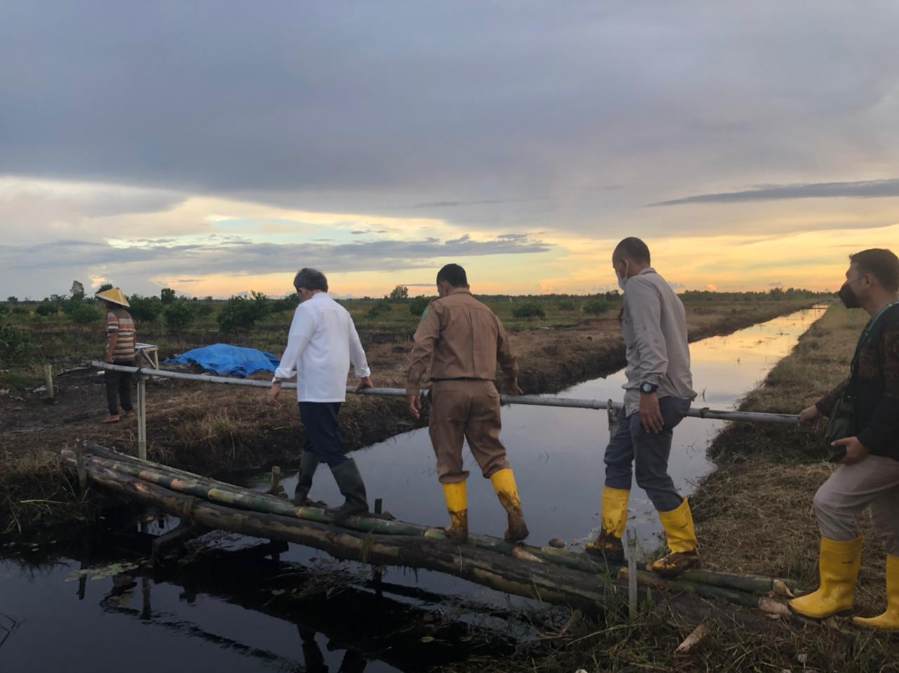 Kepala BRGM RI Tinjau Lokasi Demonstration Farm Pemanfaatan Lahan Gambut Terdegredasi di Desa Talio Hulu, Pulang Pisau, Kalteng