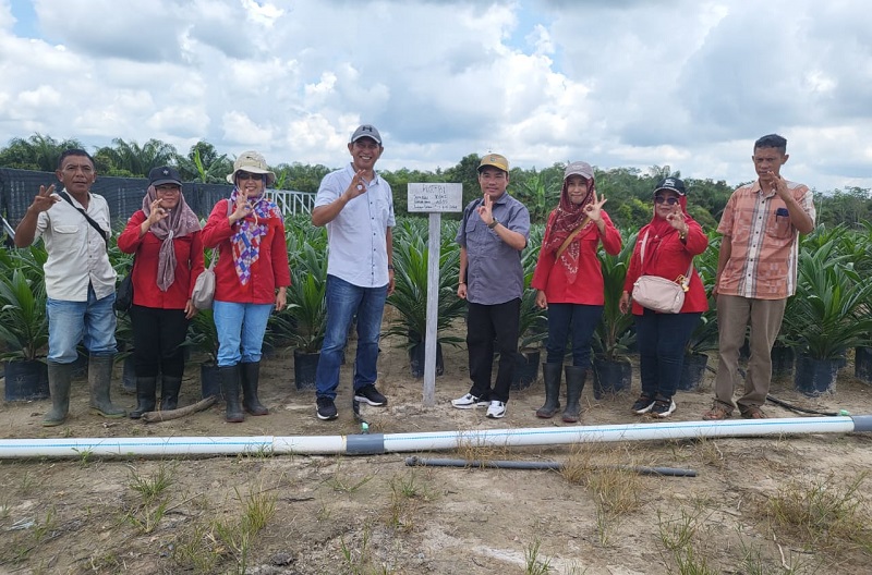 UPT BP3B Dinas Perkebunan Prov. Kalteng Laksanakan Monitoring dan Sertifikasi Benih Sertifikasi Benih Kelapa Sawit