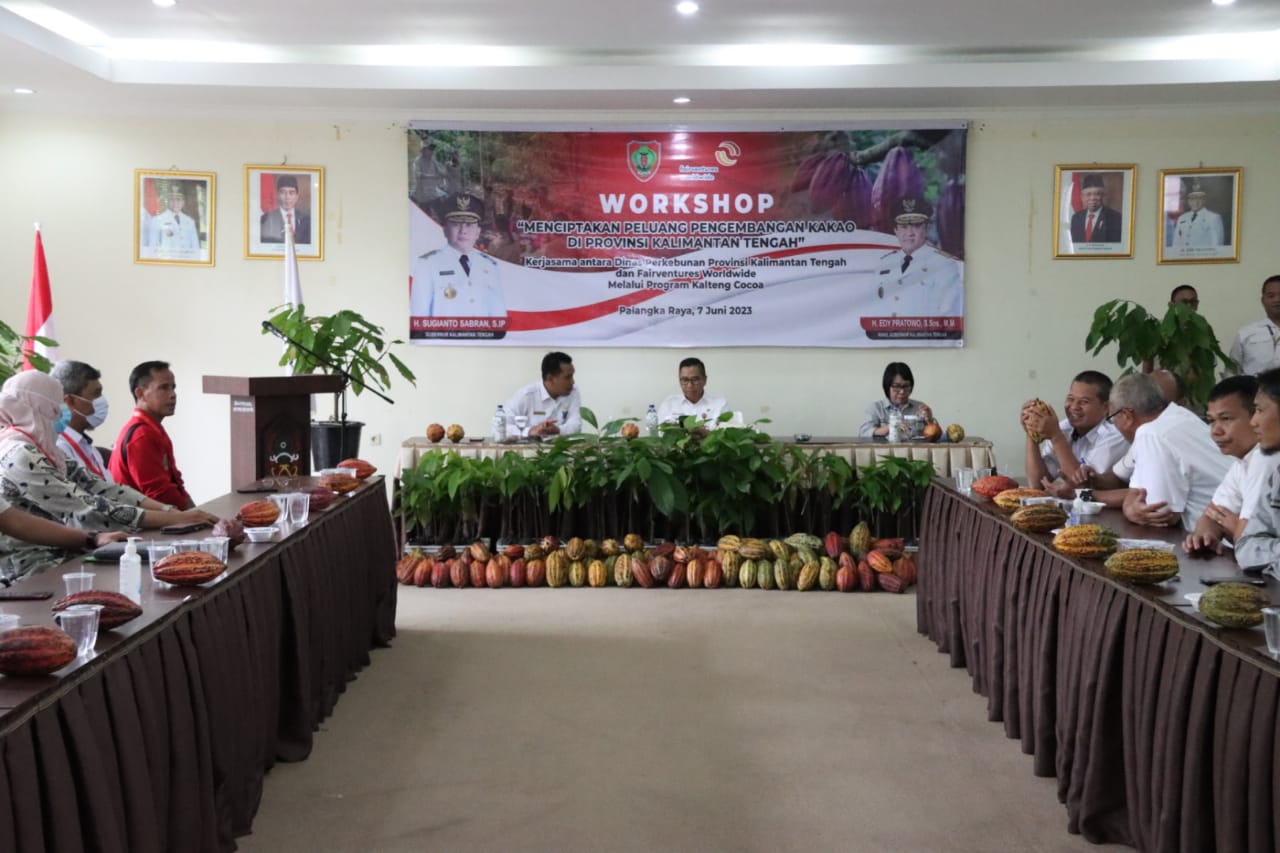 Asisten Ekbang Leonard S. Ampung Buka Secara Resmi Workshop dan Pelatihan Budidaya Kakao Bagi PPL, Staff FVW dan Petani Andalan