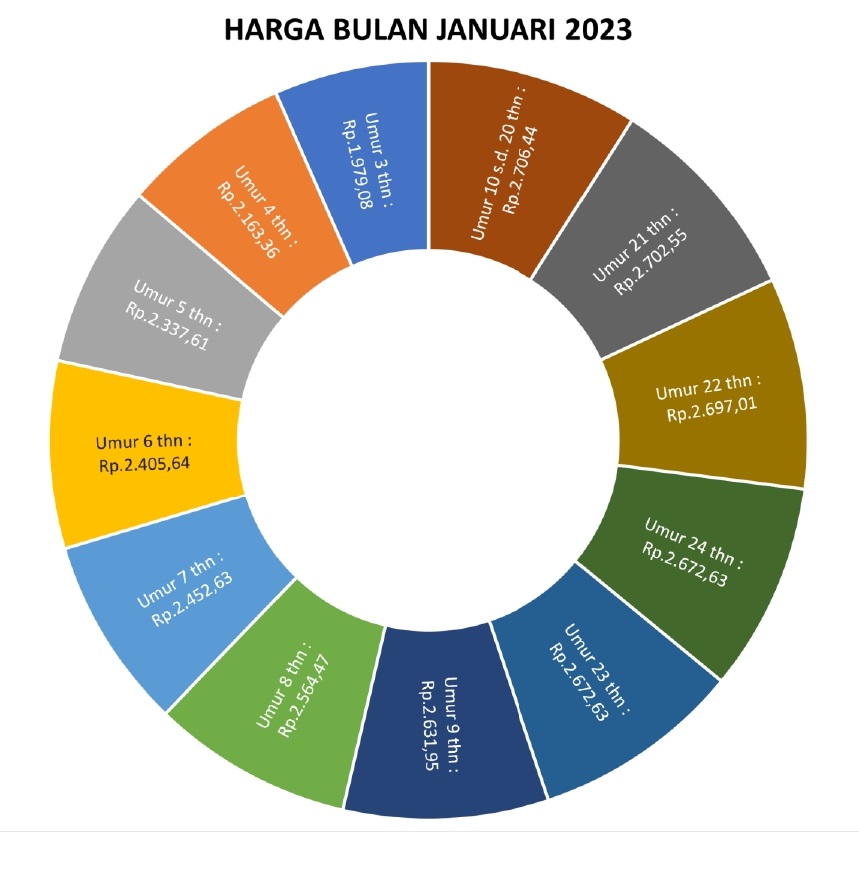 Dinas Perkebunan Prov. Kalteng Gelar Rapat Secara Rutin