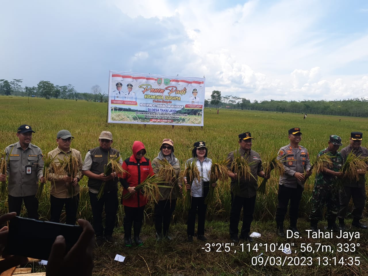 Dinas TPHP Prov. Kalteng Ikut Lakukan Kegiatan Panen Padi Nusantara Bersama