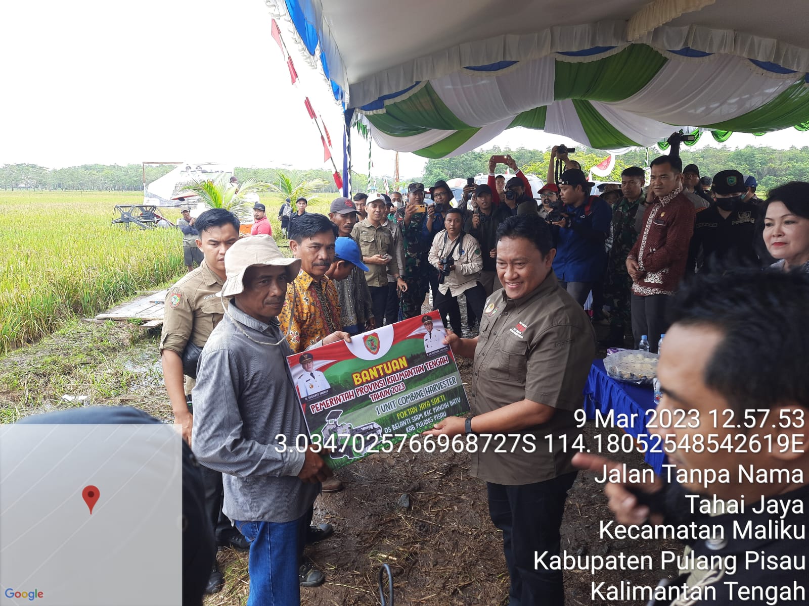 Dinas TPHP Prov. Kalteng Ikut Lakukan Kegiatan Panen Padi Nusantara Bersama