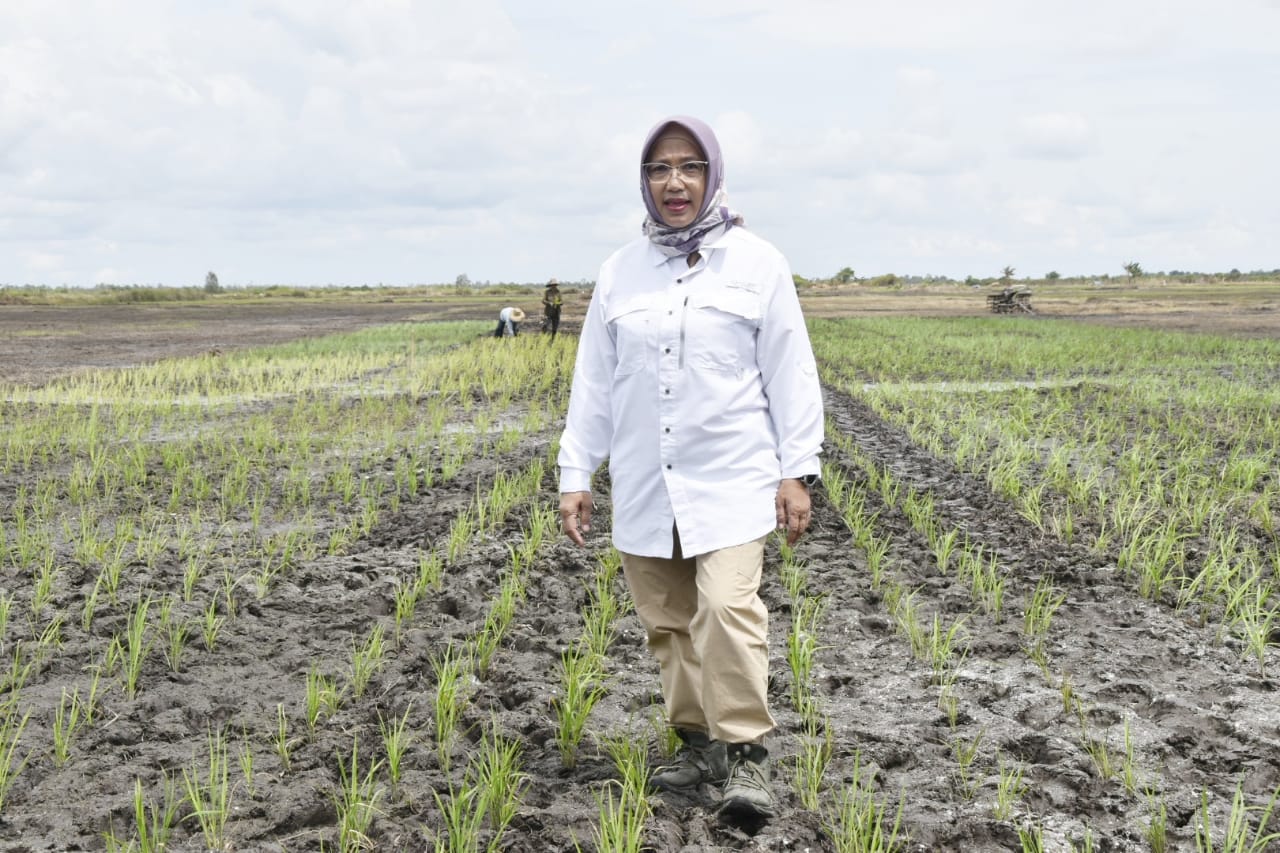 Kepala Dinas TPHP Prov. Kalteng Ajak Kaum Milenial Untuk Ikut Bergabung Menjadi Petani Milenial