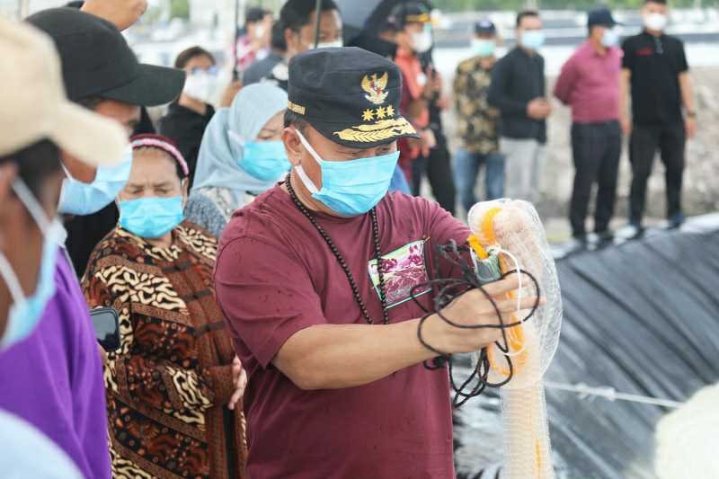 Gubernur Sugianto Sabran Lakukan Pembangunan Kawasan Tambak Udang Vaname/Shrimp Estate Sebagai Upaya Pemulihan Ekonomi 