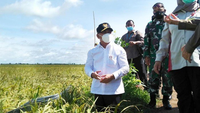 Gubernur H. Sugianto Sabran :  Food Estate Di Kalteng Akan Wujudkan Kedaulatan Pangan Nasional