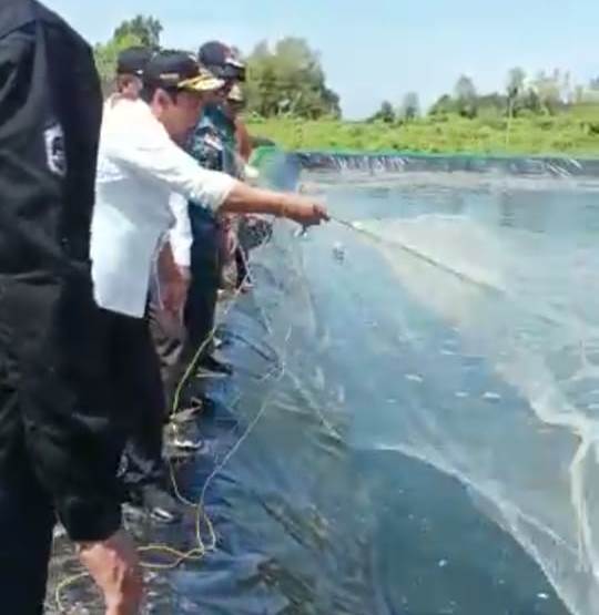 Kadislutkan Dampingi Wagub Kalteng Dan Peserta PPRA LXIII Dari Lemhannas Tinjau Lokasi Shrimp Estate