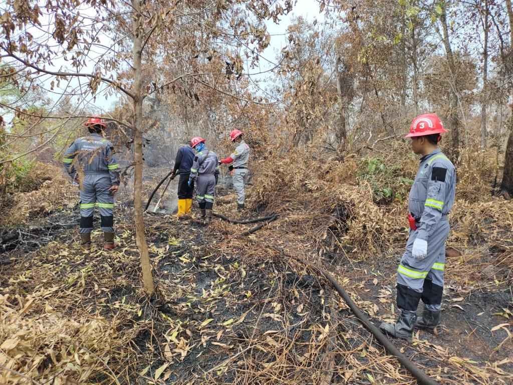 Dinas ESDM Prov. Kalteng Bersama PT. Adaro Mineral Indonesia Berpartisipasi Dalam Pemadaman Karhutla