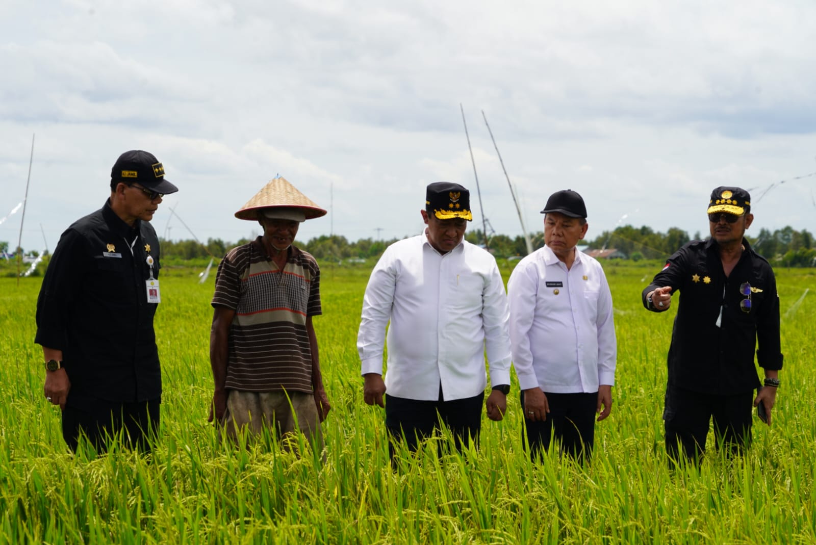 Wagub Kalteng Laksanakan Kunker ke Kawasan Food Estate di Desa Bentuk Jaya A5 Dadahup Kab. Kapuas