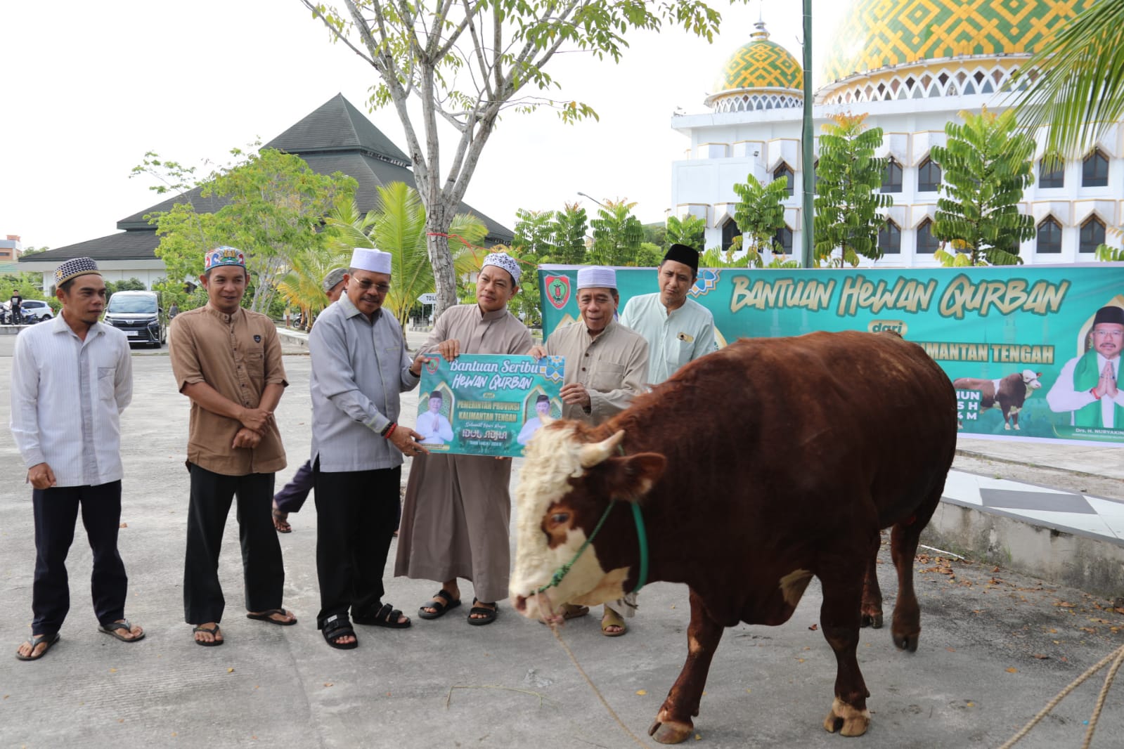 Sekda Nuryakin Serahkan Sapi Untuk Qurban Idul Adha ke Masjid Darussalam dan Masjid Raya Nurul Islam