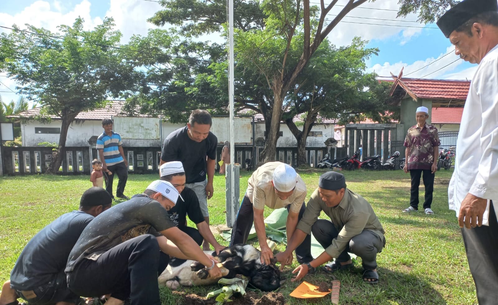 Majelis Talim Assamkiyah Dislutkan Prov. Kalteng Laksanakan Penyembelihan Hewan Qurban