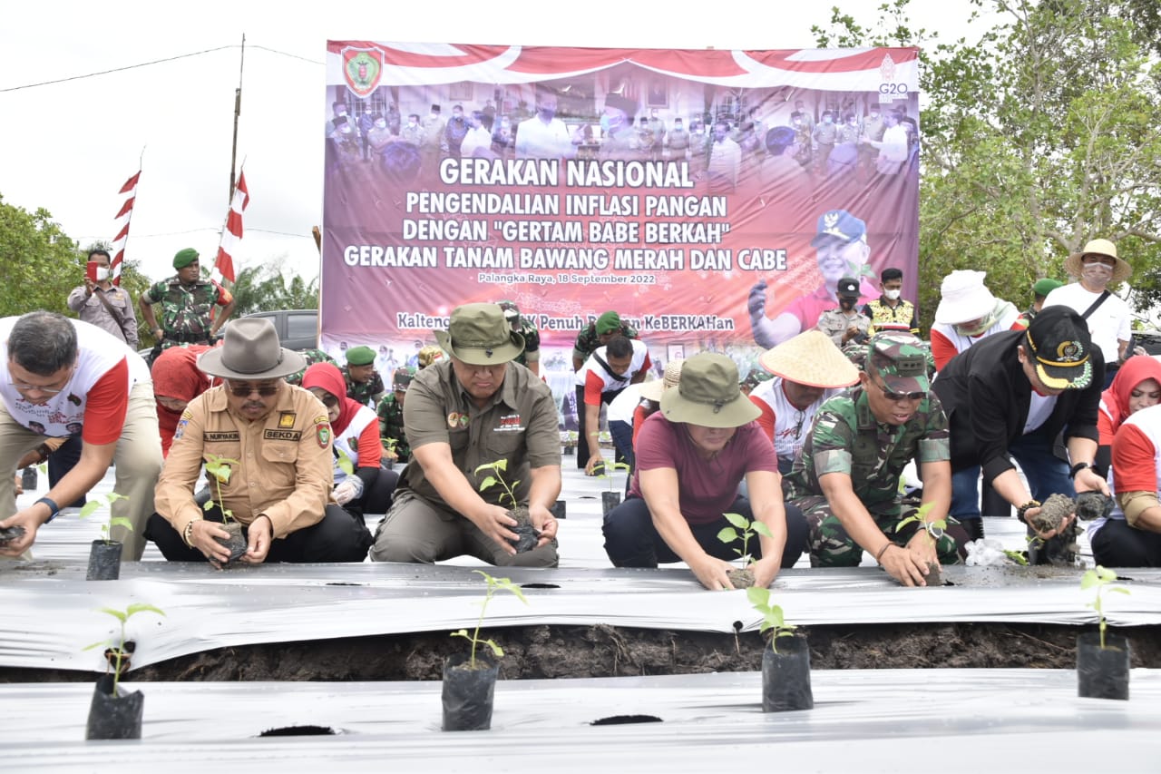 Gubernur Kalteng Pimpin Aksi Gerakan Tanam Bawang Merah Dan Cabai