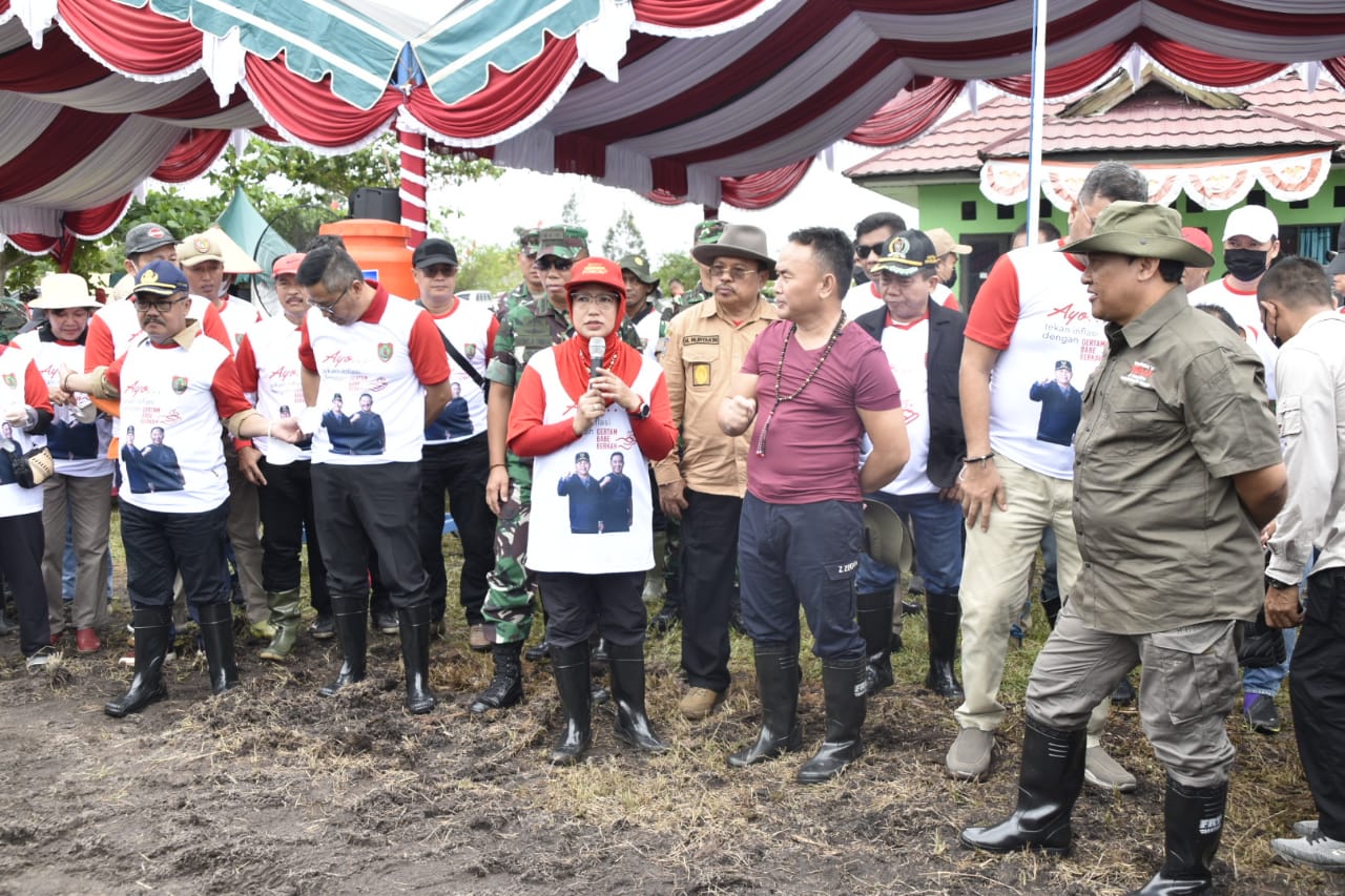 Gubernur Kalteng Pimpin Aksi Gerakan Tanam Bawang Merah Dan Cabai