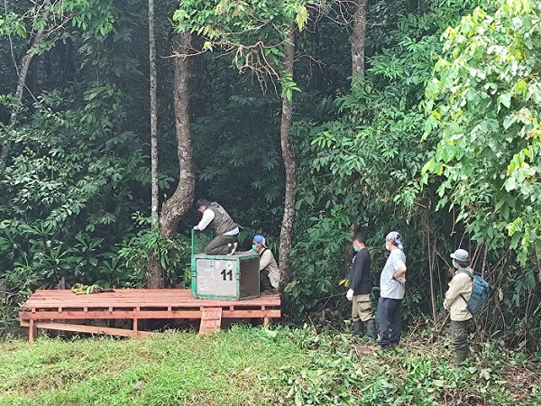 Kedatangan Menteri Kehutanan RI ke Kalteng Dalam Rangka Kunjungan ke Kawasan Konservasi Orangutan