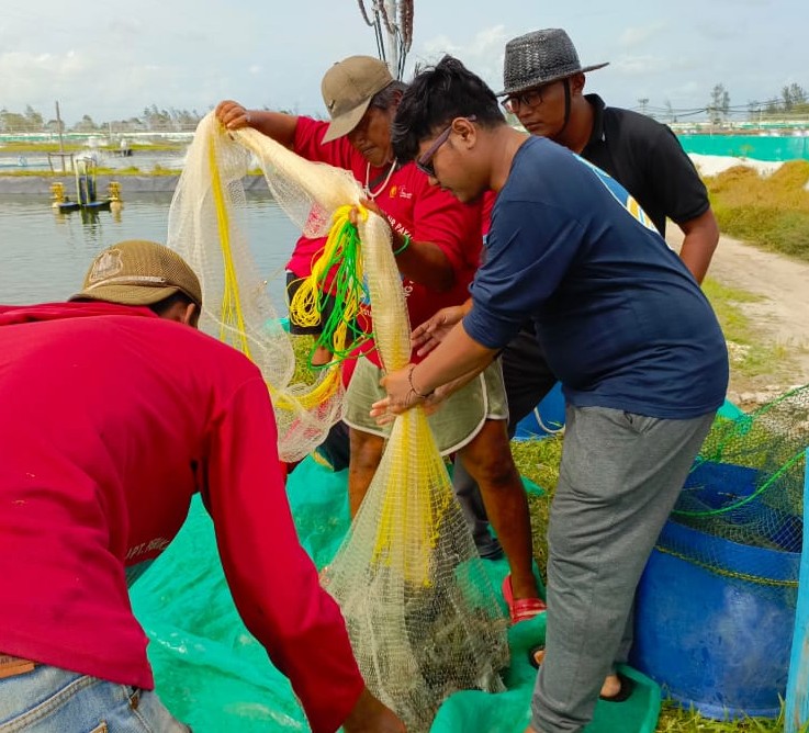 Kadislutkan Darliansjah Harapkan Program Shrimp Estate Dapat Kolaborasi Dibangun Bupati di Pesisir Pantai Lainnya dan Diadopsi Bagi Peningkatan Kesejahteraan