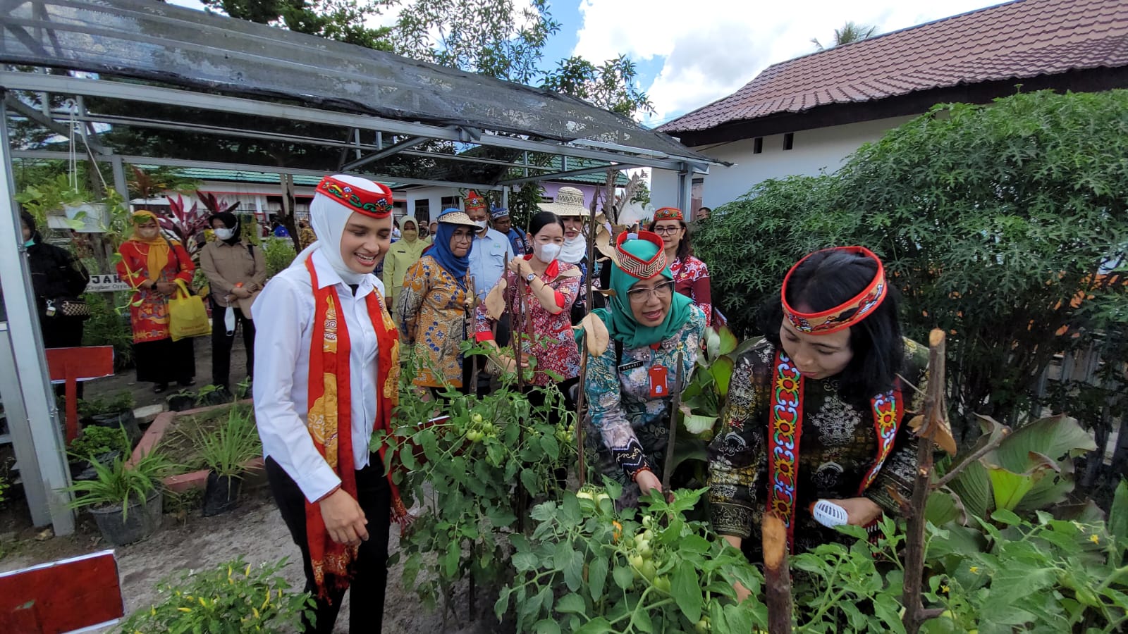 Dinas TPHP Prov. Kalteng Lakukan Pendampingan Kebun TOGA PKK di Kab. Pulang Pisau