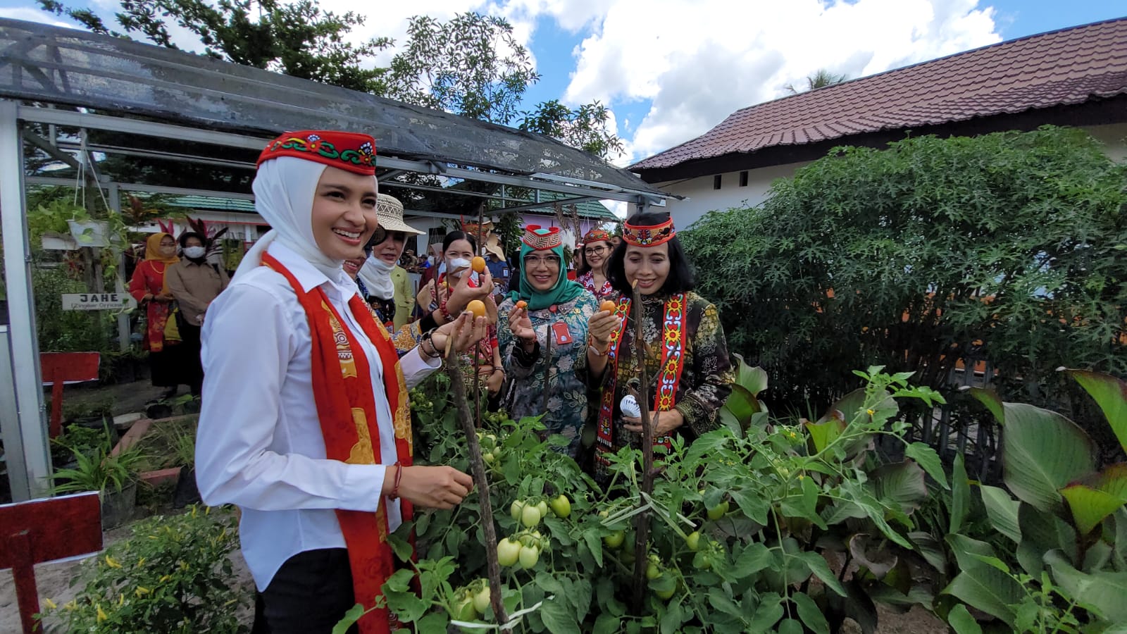 Dinas TPHP Prov. Kalteng Lakukan Pendampingan Kebun TOGA PKK di Kab. Pulang Pisau