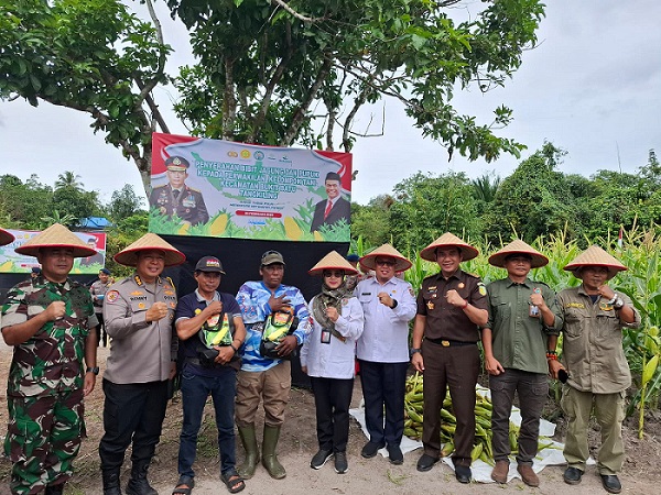 Kepala Bidang Perbenihan Budidaya Jayan Wahyudi Hadiri Panen Raya Jagung Serentak Tahap I dan Tanam Jagung Tahap II