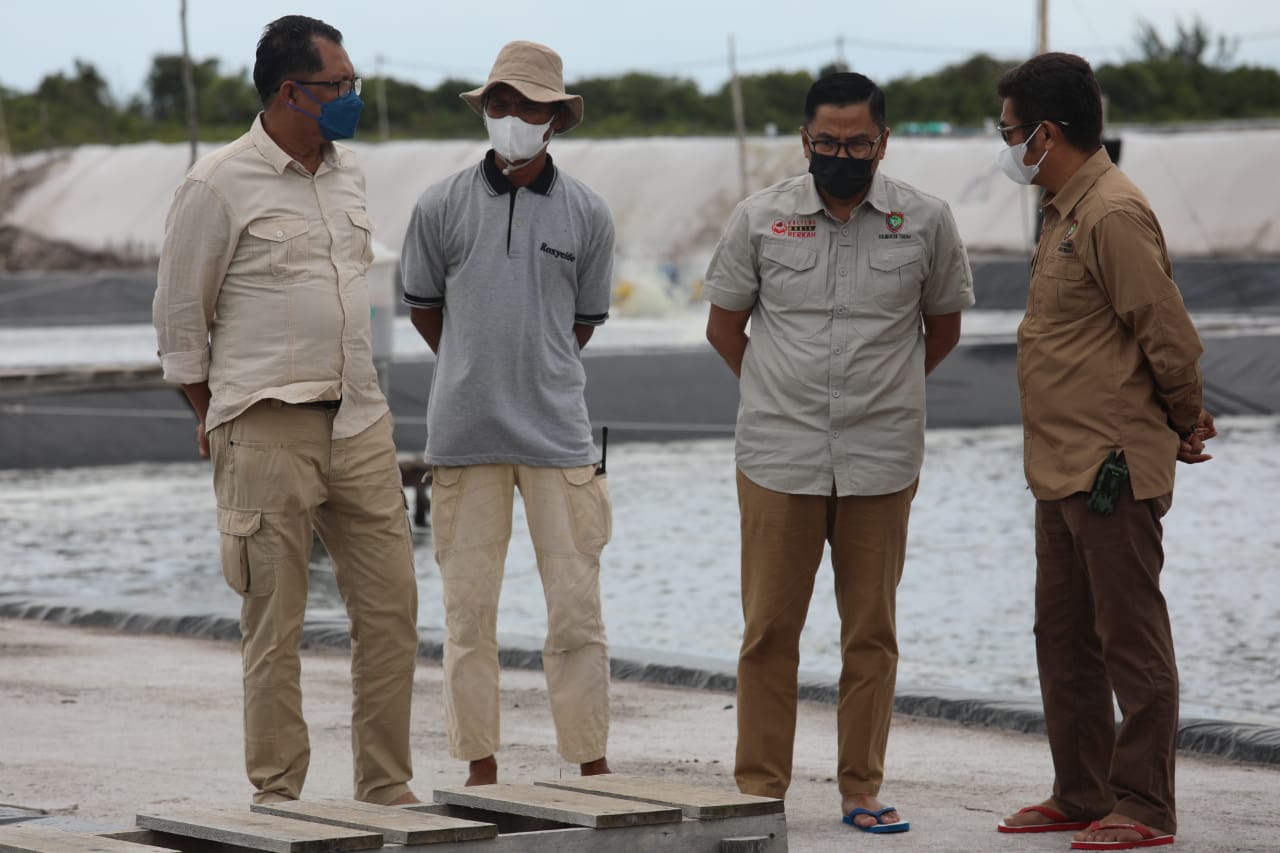 Kepala Dinas Kelautan Dan Perikanan H. Darliansjah Prov. Kalteng: Harus Ada Regulasi Tata Kelola Budidaya dalam Pengembangan Shrimp Estate