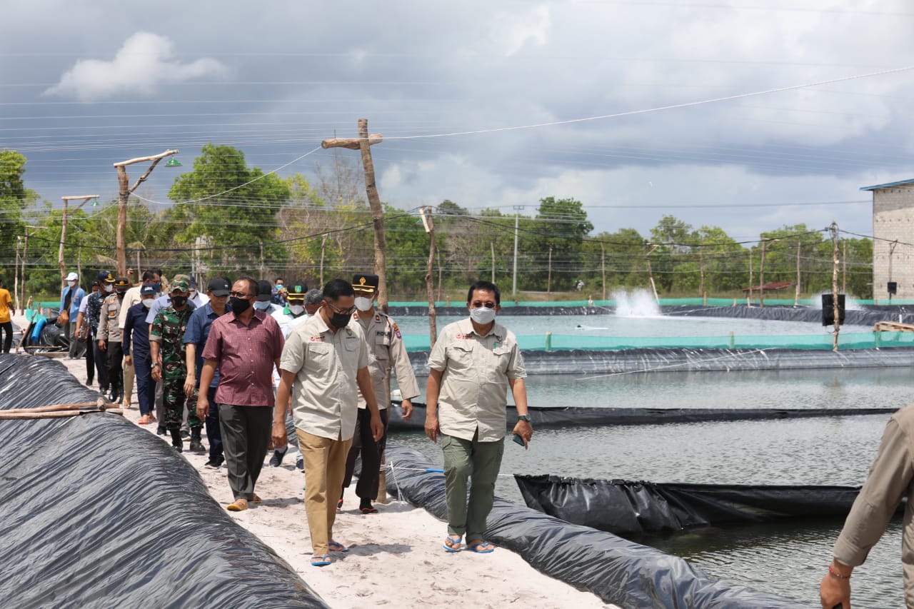 Leonard S. Ampung Meninjau Pembangunan Shrimp Estate/ Udang Vaname Di Sejumlah Tempat Di Kabupaten Sukamara