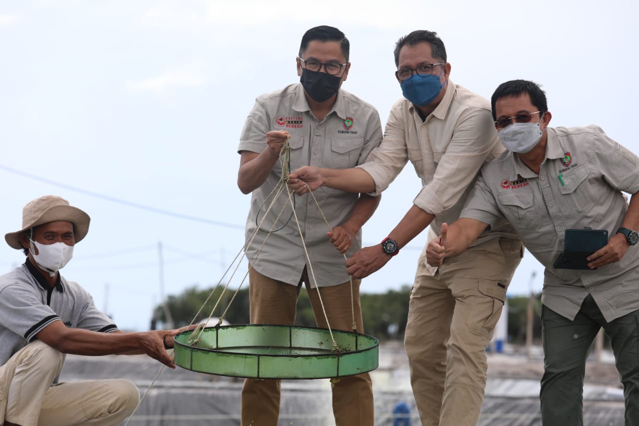 Leonard S. Ampung Meninjau Pembangunan Shrimp Estate/ Udang Vaname Di Sejumlah Tempat Di Kabupaten Sukamara