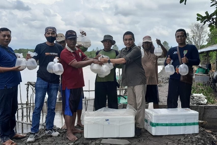 Gubernur Kalteng Beri Bantuan Benih Udang Windu Kepada Pokdakan Di Kab. Kobar