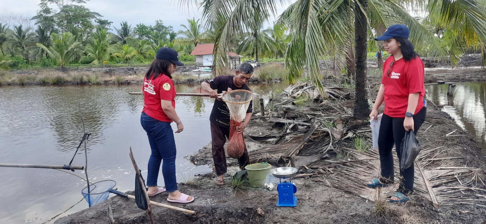 Dislutkan Prov. Kalteng Laksanakan Pengambilan Sampel Residu Udang Vaname