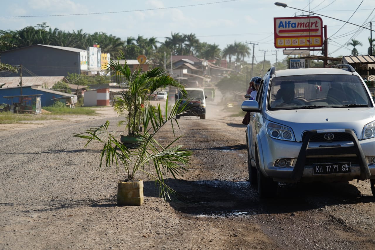 Aksi Sebagai Bentuk Protes Terhadap Kondisi Jalan Nasional yang Rusak Parah, Warga Tanami  Dengan Pohon Pisang dan Sawit