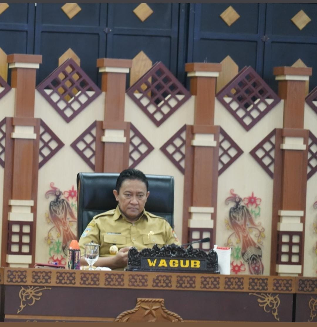 Wagub Kalteng Edy Pratowo Ikuti Rakor Pengendalian Inflasi Di Daerah Bersama Menteri Dalam Negeri Secara Virtual